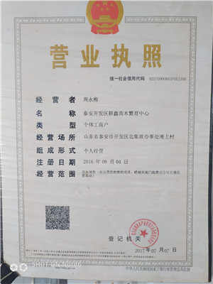 吉林煜爍苗木露天香椿苗種植基地建設工程啟動