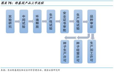 乘轉(zhuǎn)基因政策之風(fēng)，國(guó)內(nèi)種業(yè)加速整合發(fā)展——農(nóng)作物種子經(jīng)營(yíng)的新機(jī)遇與挑戰(zhàn)
