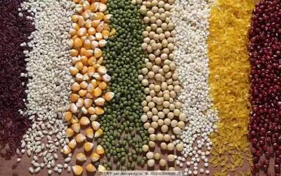 三大糧食作物制種納入中央財政補貼目錄 為種業發展注入“保險”動能